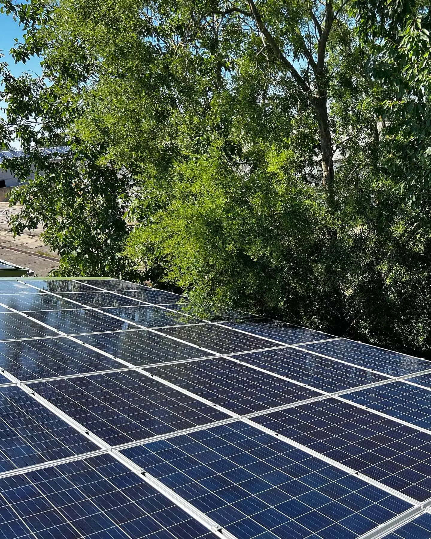 nachher Reinigung von Solaranlagen für Industrie Photovoltaik für Solarparks PV Reinigung für Gewerbeanlagen berlin brandenburg münchen hamburg reinigungsfirma angebot